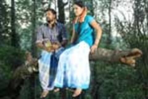 காடு