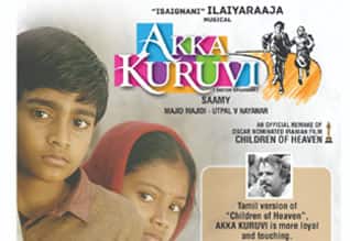 அக்கா குருவி