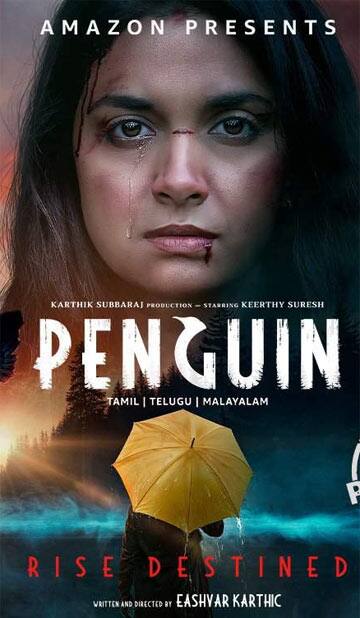 பெண்குயின்,Penguin