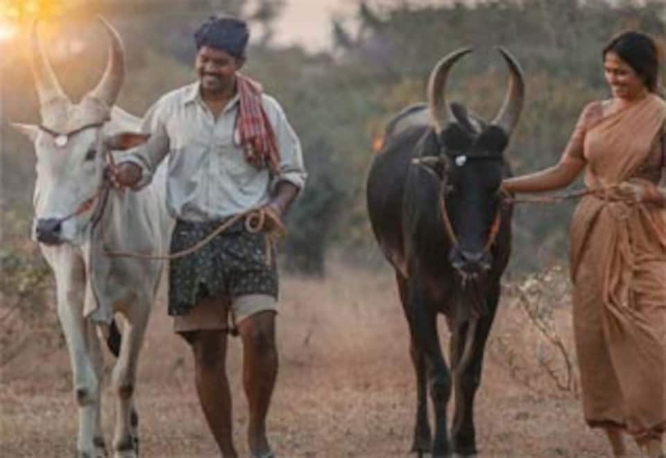 இராமே ஆண்டாலும் இராவணே ஆண்டாலும்