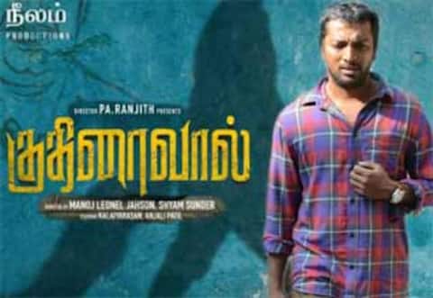 குதிரைவால்