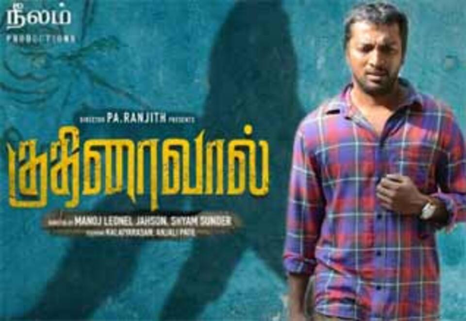 குதிரைவால்