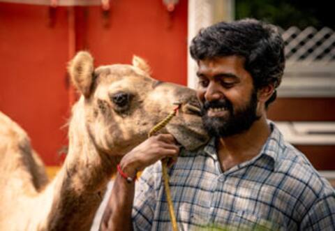 பக்ரீத்
