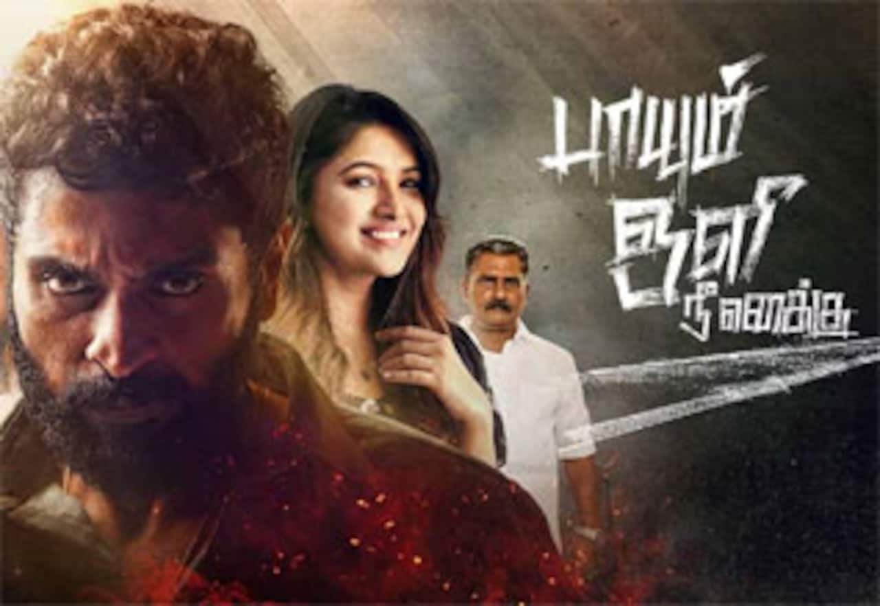 பாயும் ஒளி நீ எனக்கு