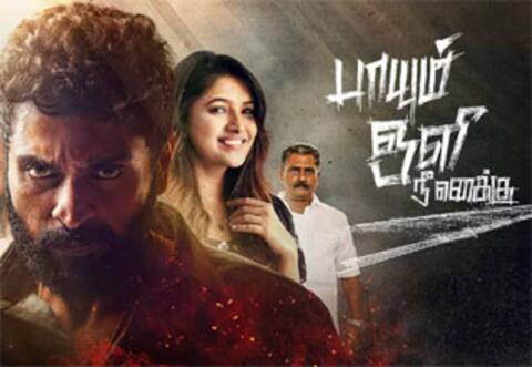 பாயும் ஒளி நீ எனக்கு