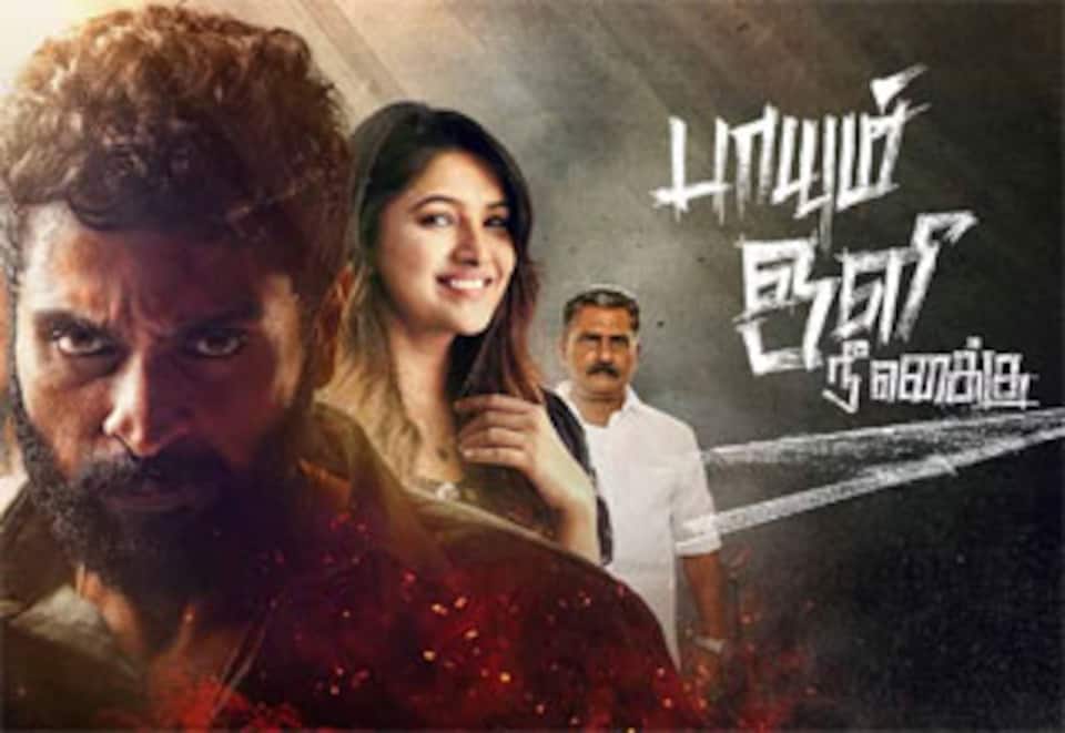 பாயும் ஒளி நீ எனக்கு