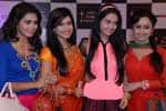 13வது கலர்ஸ் டி.வி., டெலி விருதுகள்