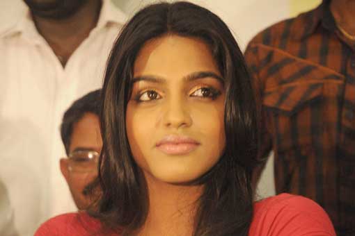 சாலைப் பாதுகாப்பு வார விழா