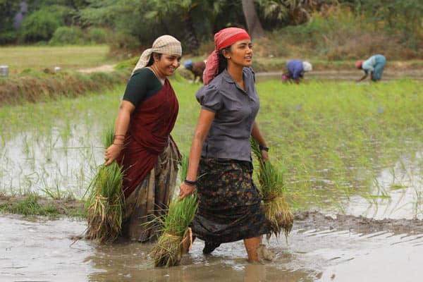 பைசன் காளமாடன்,Bison Kaalamaadan