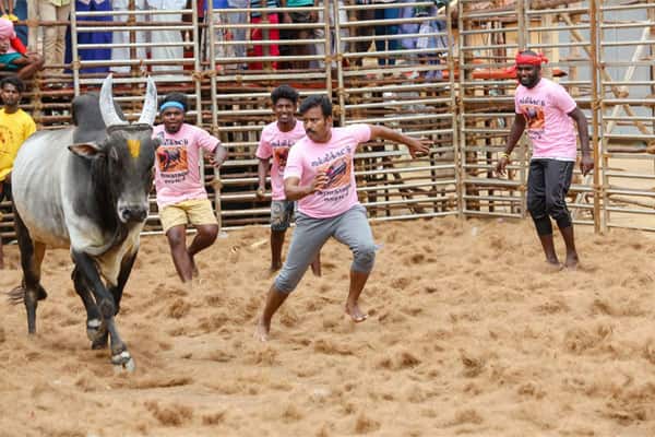 கருப்பு பல்சர்,Karuppu Pulsar