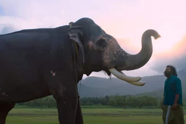 படை தலைவன்,Padai thalaivan