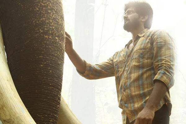 கும்கி 2,Kumki 2