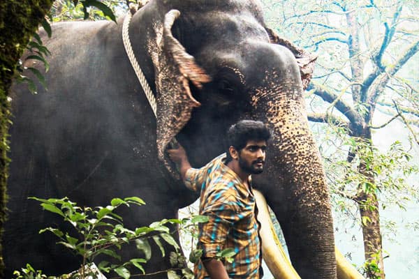 கும்கி 2,Kumki 2