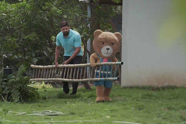 டெடி,Teddy