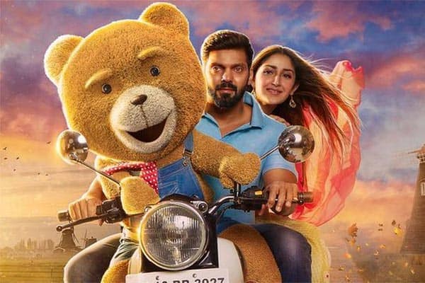 டெடி,Teddy