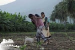 Kathi