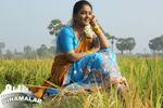 Kathi