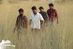 Kathi