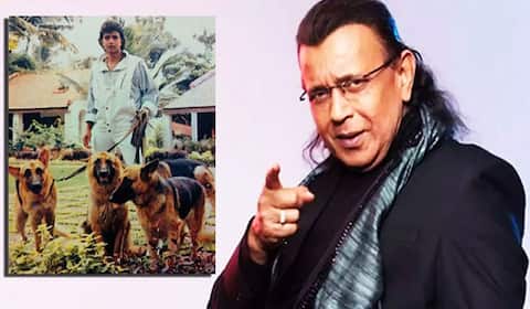 நாய்களுக்கு 45 கோடி ஒதுக்கிய மிதுன் சக்ரவர்த்தி