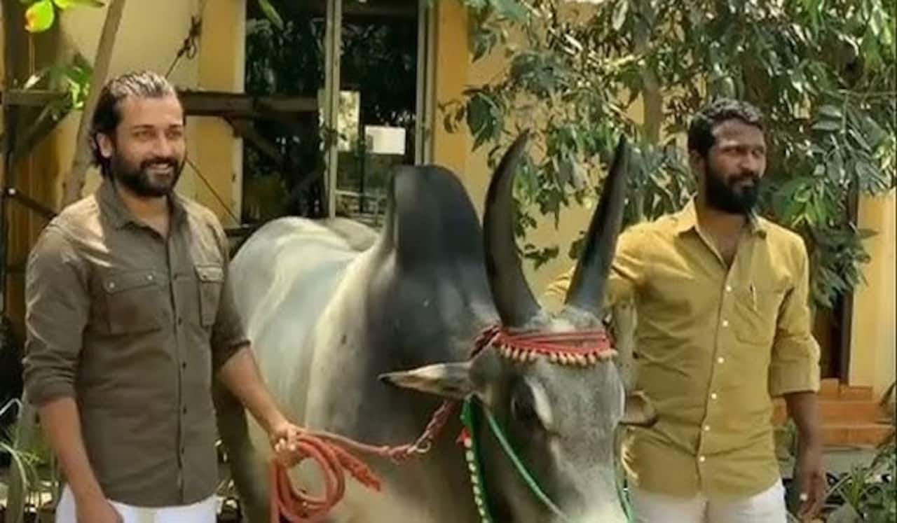 கூடிய சீக்கிரமே வாடிவாசலை தொடங்கி விடுவோம்! வெற்றிமாறன் கொடுத்த அப்டேட்