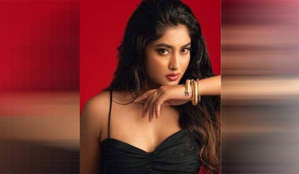 சின்னத்திரையில் இனி நடிக்கமாட்டேன்! பிரியங்கா அதிரடி