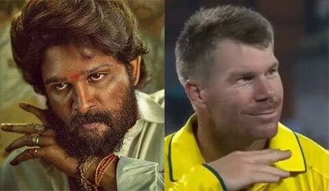 புஷ்பா 2 படத்தில் டேவிட் வார்னர்?