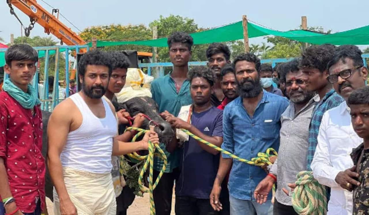மீண்டும் மீண்டும் தள்ளிப் போகும் வாடிவாசல் ?