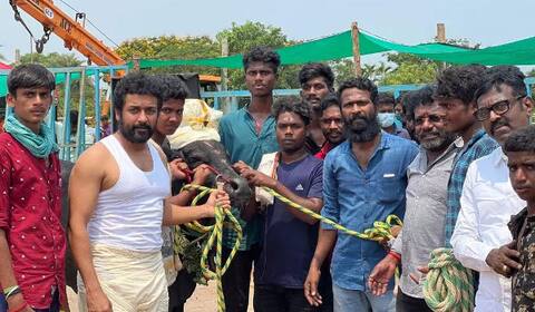 மீண்டும் மீண்டும் தள்ளிப் போகும் வாடிவாசல் ?