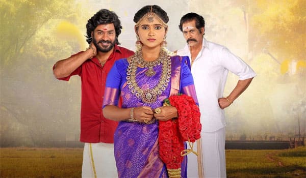 தெலுங்கில் ரீமேக்காகும் சின்னமருகள் தொடர்