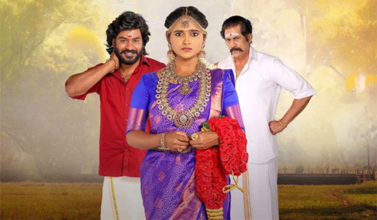 தெலுங்கில் ரீமேக்காகும் சின்னமருகள் தொடர்