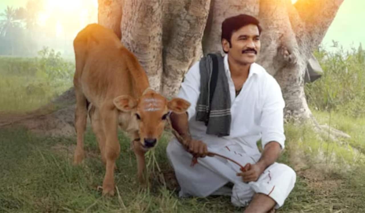 தனுஷின் இட்லி கடை தள்ளிப்போக வாய்ப்பு