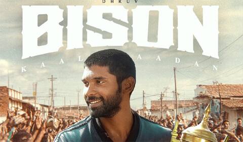 லாபத்தில் முதலில் நுழைந்த பைசன்