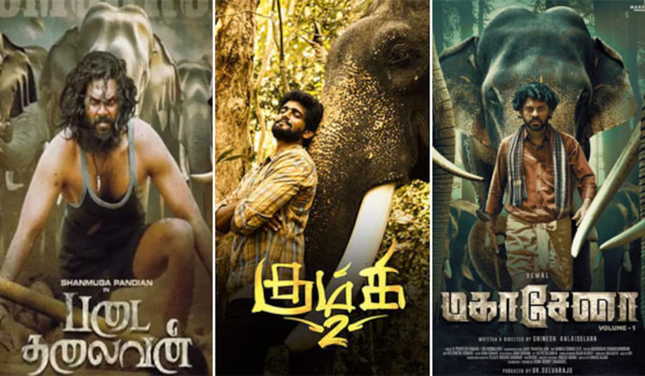 இந்த ஆண்டு 3வது யானை படம்