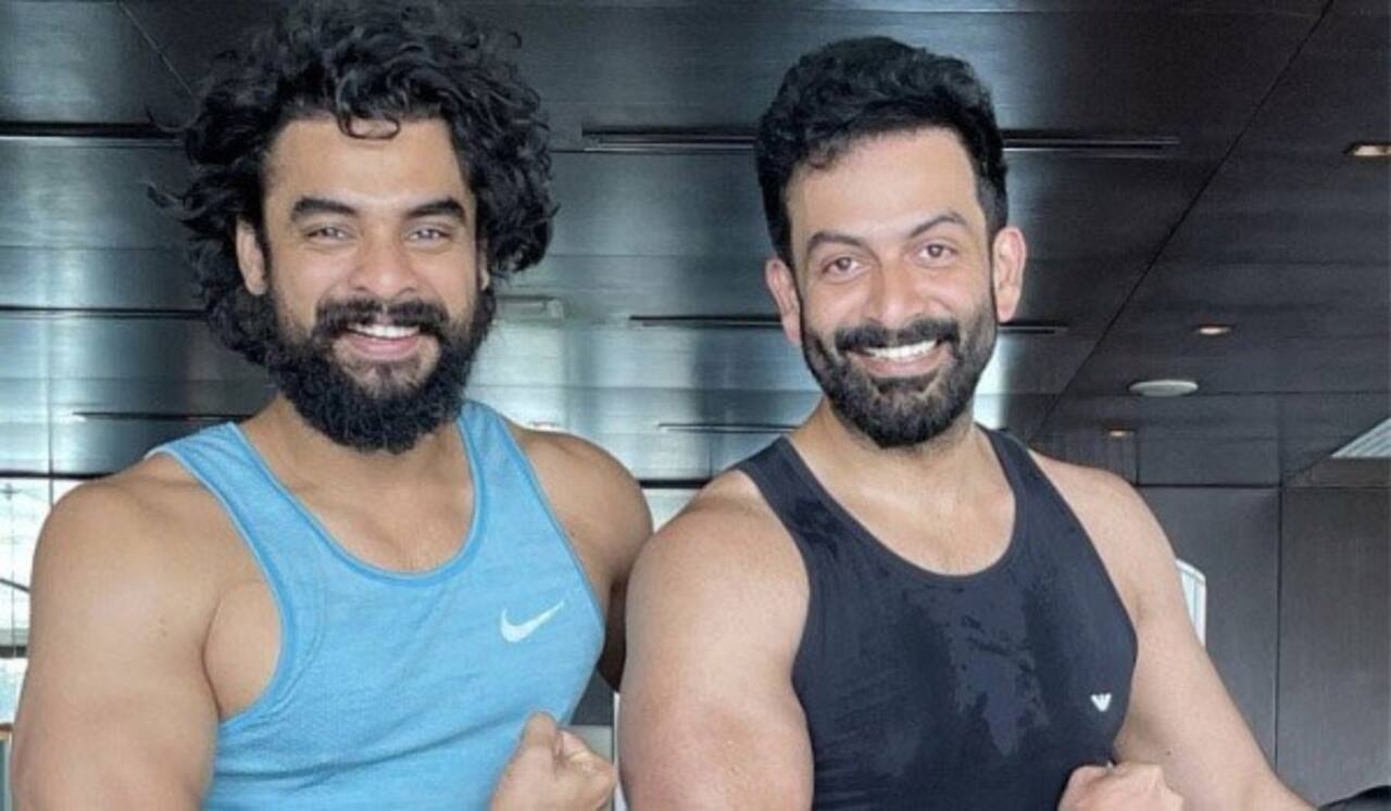 டொவினோ தாமஸின் படத்தில் சிறப்பு தோற்றத்தில் நடிக்கும் பிரித்விராஜ்