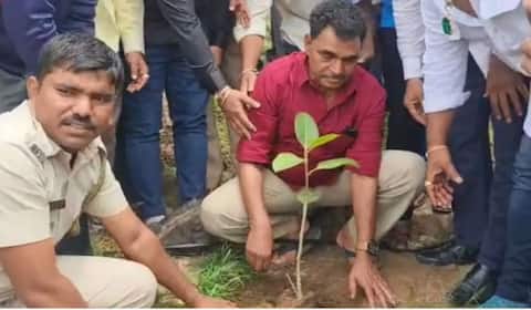 பத்து வருடங்களில் 6.5 லட்சம் மரக்கன்றுகளை நட்ட சாயாஜி ஷிண்டே