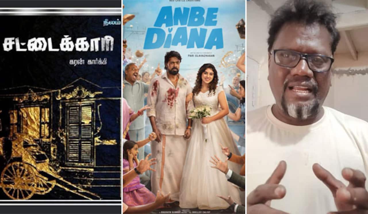 அன்பே டயானா : கதைத் திருட்டு குற்றச்சாட்டு