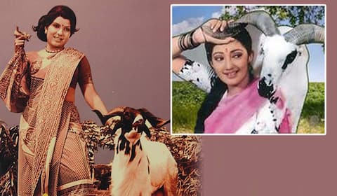 பிளாஷ்பேக் : ஆட்டுக்காரனை தோற்கடித்த ஆட்டுக்காரி