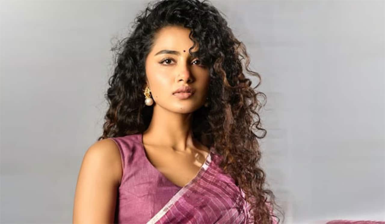 காதல் பிரிவு குறித்த வதந்திகளுக்குப் பதிலளித்த அனுபமா பரமேஸ்வரன்!
