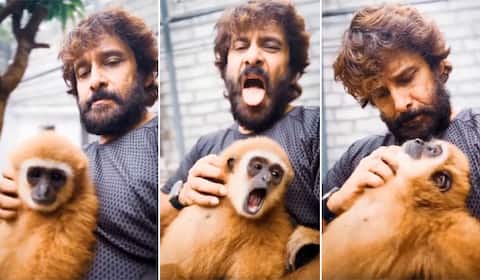 அரிய வகை குரங்கு வைத்திருந்த விவகாரம் : விக்ரமிற்கு 3 நாள் கெடு