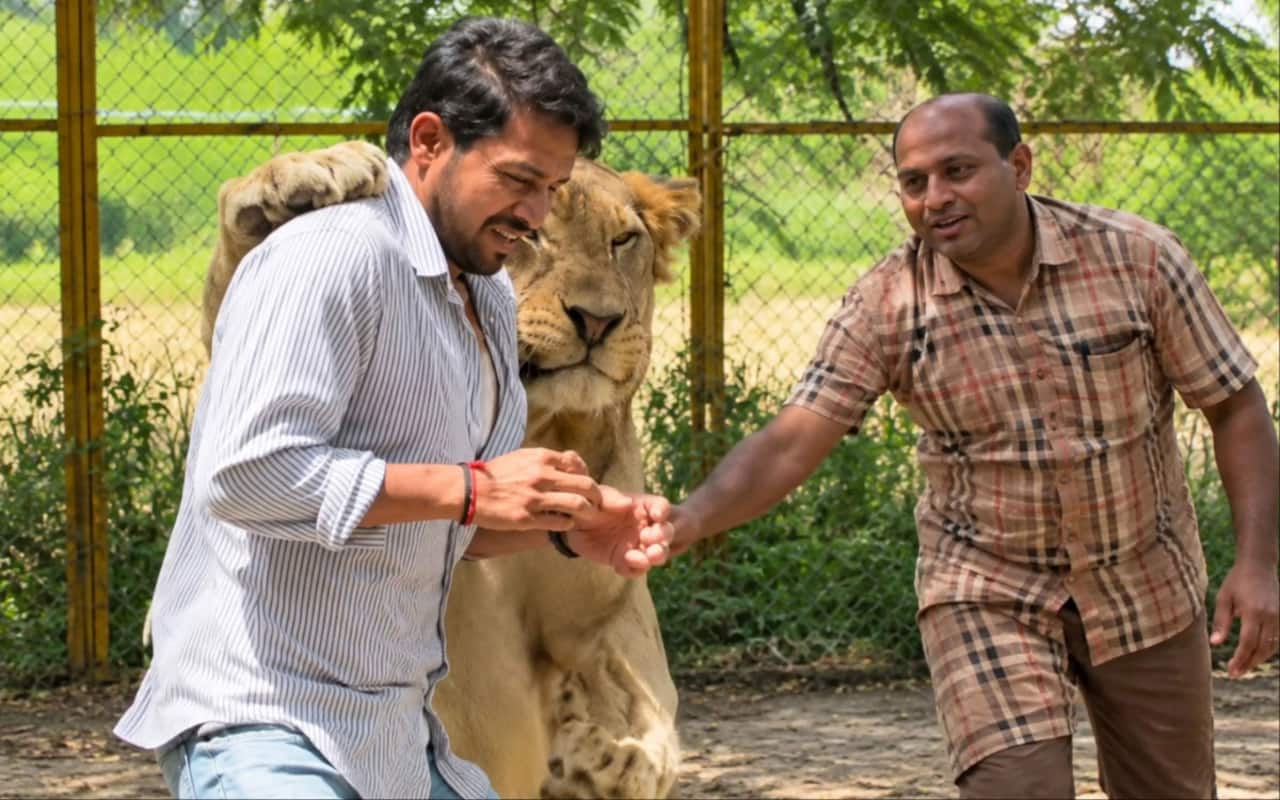 சினிமாவில் நடிப்பதற்காக நிஜ சிங்கத்துடன் பயிற்சி எடுக்கும் நடிகர்