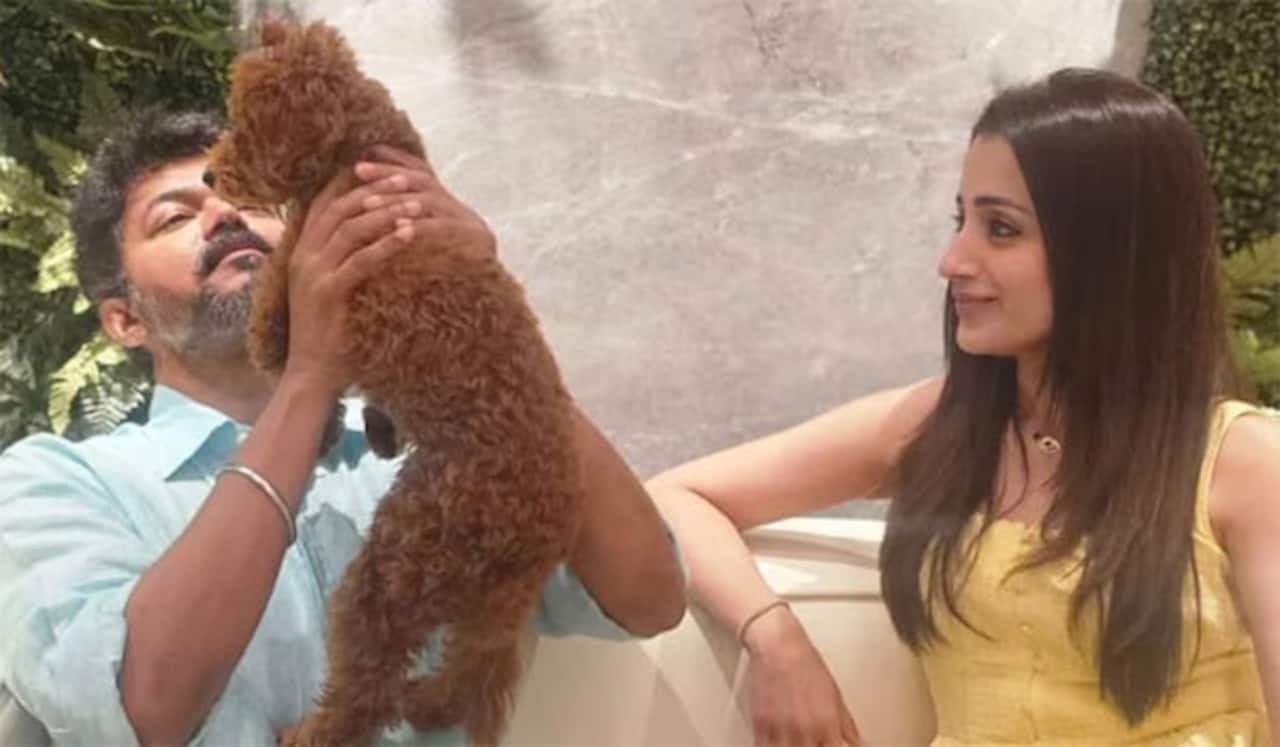 விஜய்க்கு வாழ்த்து போட்டோ: பரபரப்பை ஏற்படுத்திய திரிஷா