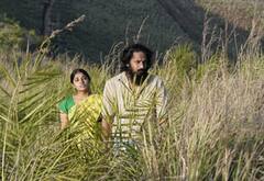 கெவி படத்தில் கொடைக்கானல் பள்ளத்தாக்கு கிராமத்தின் கதை