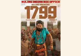 புஷ்பா 2 - ஹிந்தியில் 900 கோடி, இந்தியாவில் 1400 கோடி வசூல்
