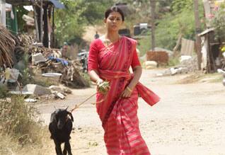 விவசாயத்தை வலியுறுத்தும் பூர்வீகம்