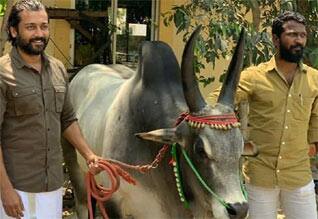 சூர்யாவின் டிராப் இயக்குனர்கள் பட்டியலில் இணைகிறாரா வெற்றிமாறன்?