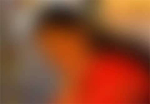 நாயகியை டிரோல் செய்ய வைத்தாரா நடிகரின் மேனேஜர்?