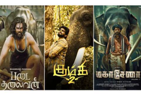 இந்த ஆண்டு 3வது யானை படம்