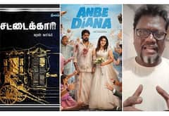 அன்பே டயானா : கதைத் திருட்டு குற்றச்சாட்டு