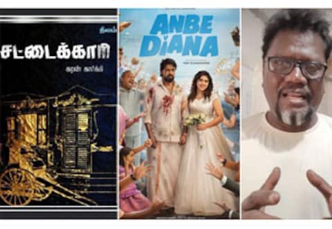 அன்பே டயானா : கதைத் திருட்டு குற்றச்சாட்டு