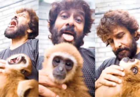சர்ச்சையில் சிக்கிய நடிகர் விக்ரம் : அரிய வகை குரங்கை வளர்ப்பதா என எதிர்ப்பு